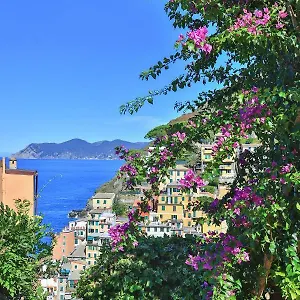 5 Terre For , Riomaggiore Italia
